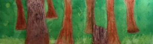 4th grade redwood trees